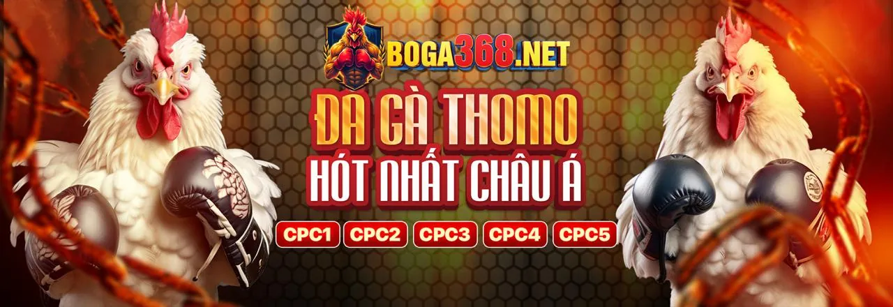 Điều Khoản Dịch Vụ m666 đăng nhập